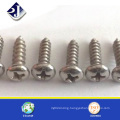 Steel Phillips Pan Head Self Tapping Screw